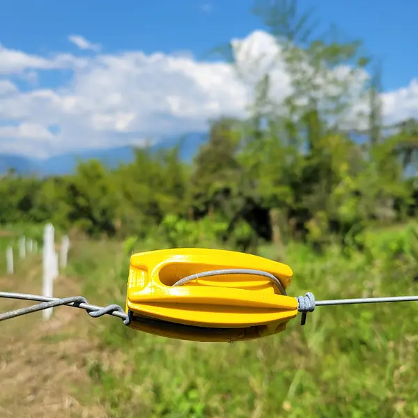 Aislador Principio Fin Ovalado