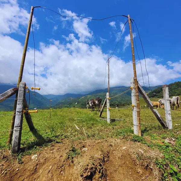 Kit Portillo 5 Metros Premium