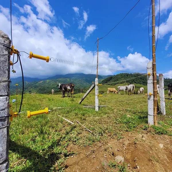 Kit Portillo 3 Metros Premium