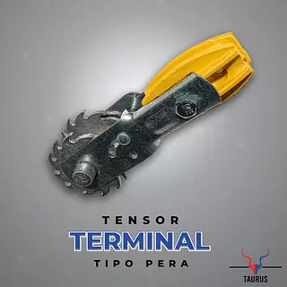 Tensor Terminal