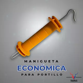 Manigueta Económica