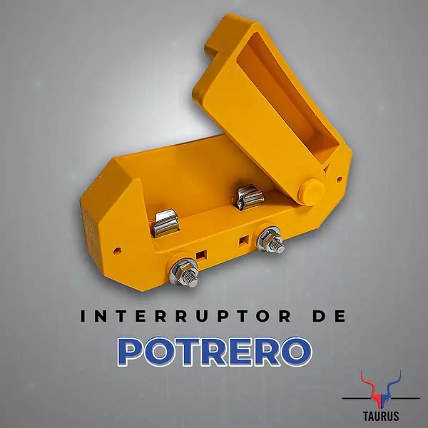 Interruptor