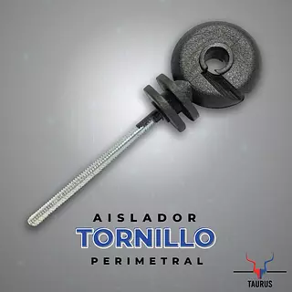 Tornillo Perimetral