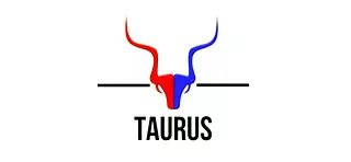 Los Mejores Accesorios Para Cercas Eléctricas 