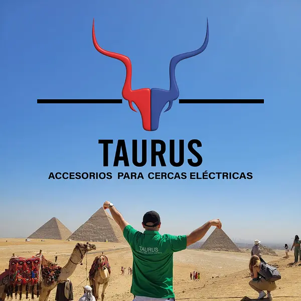 TAURUS